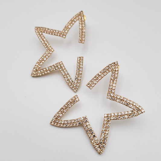 Earrings 4